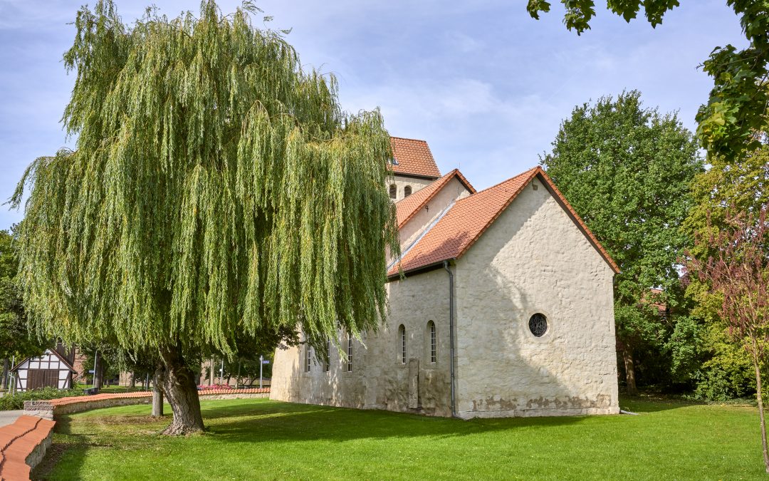 Blues in der Kniki: Justina Lee Brown