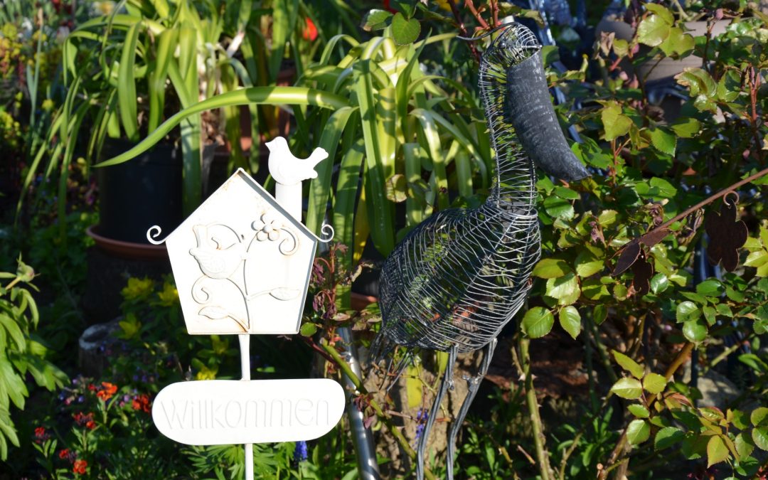 Orgelfrühling Salzgitter: Konzert mit Martin Kohlmann