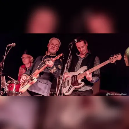 Gainesville (TOM PETTY TRIBUTE)